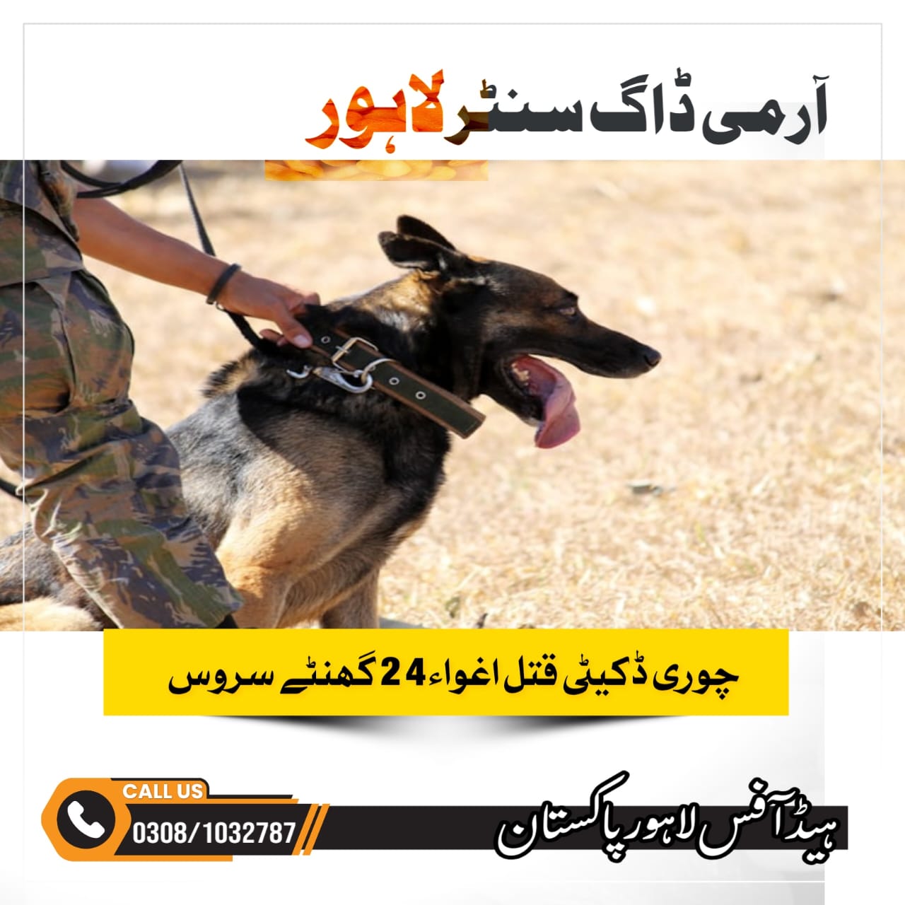 Army dog center Lahore