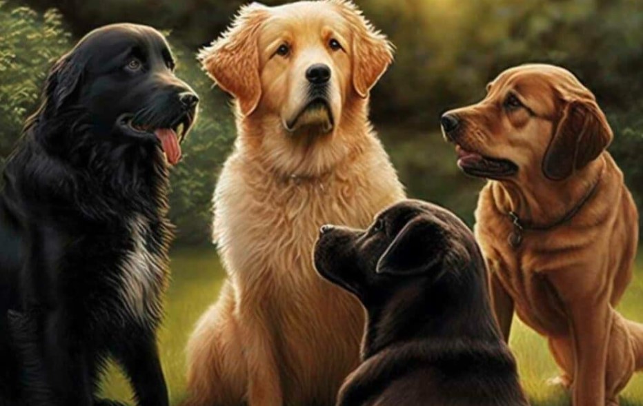 Army dog centre
